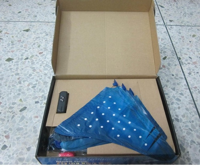 Remote Controlled Flying