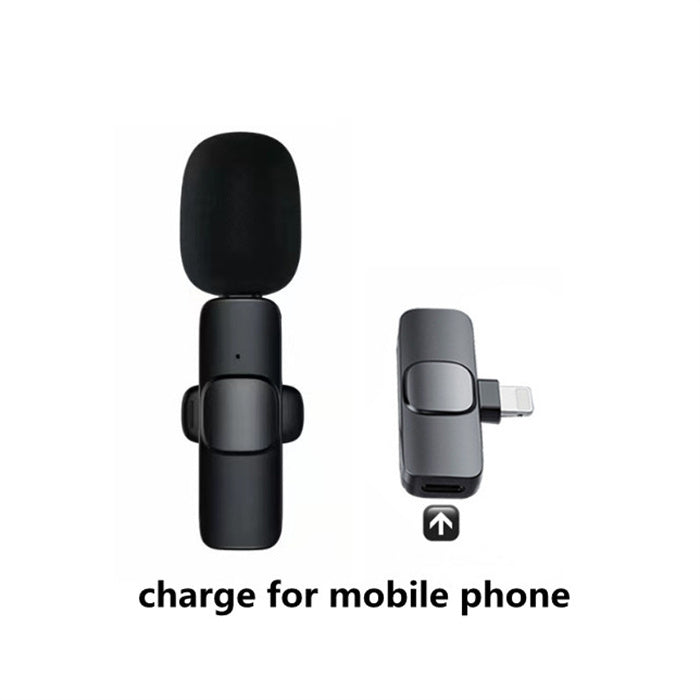 Wireless Lavalier Portable Microphone
