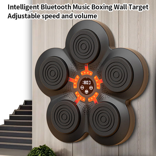 Target Boxing Training