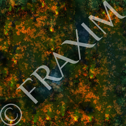Realm Beyond: Chapter One